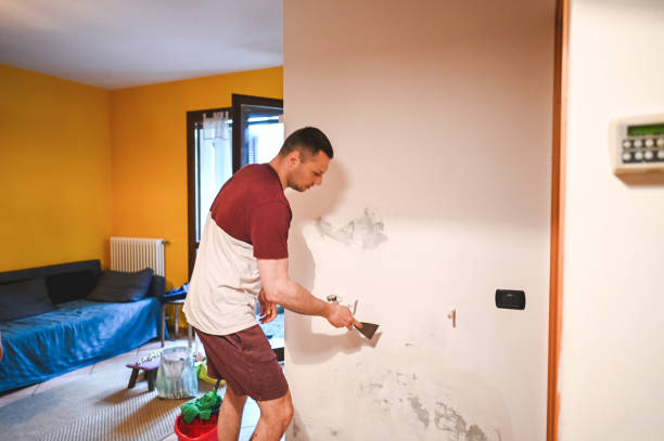 Best Post-Remediation Services in North Madison, OH